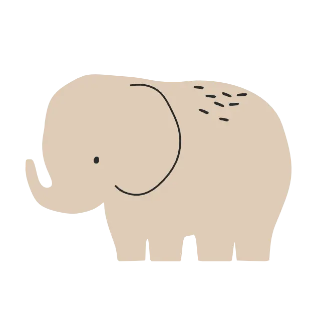 elefant 1 1