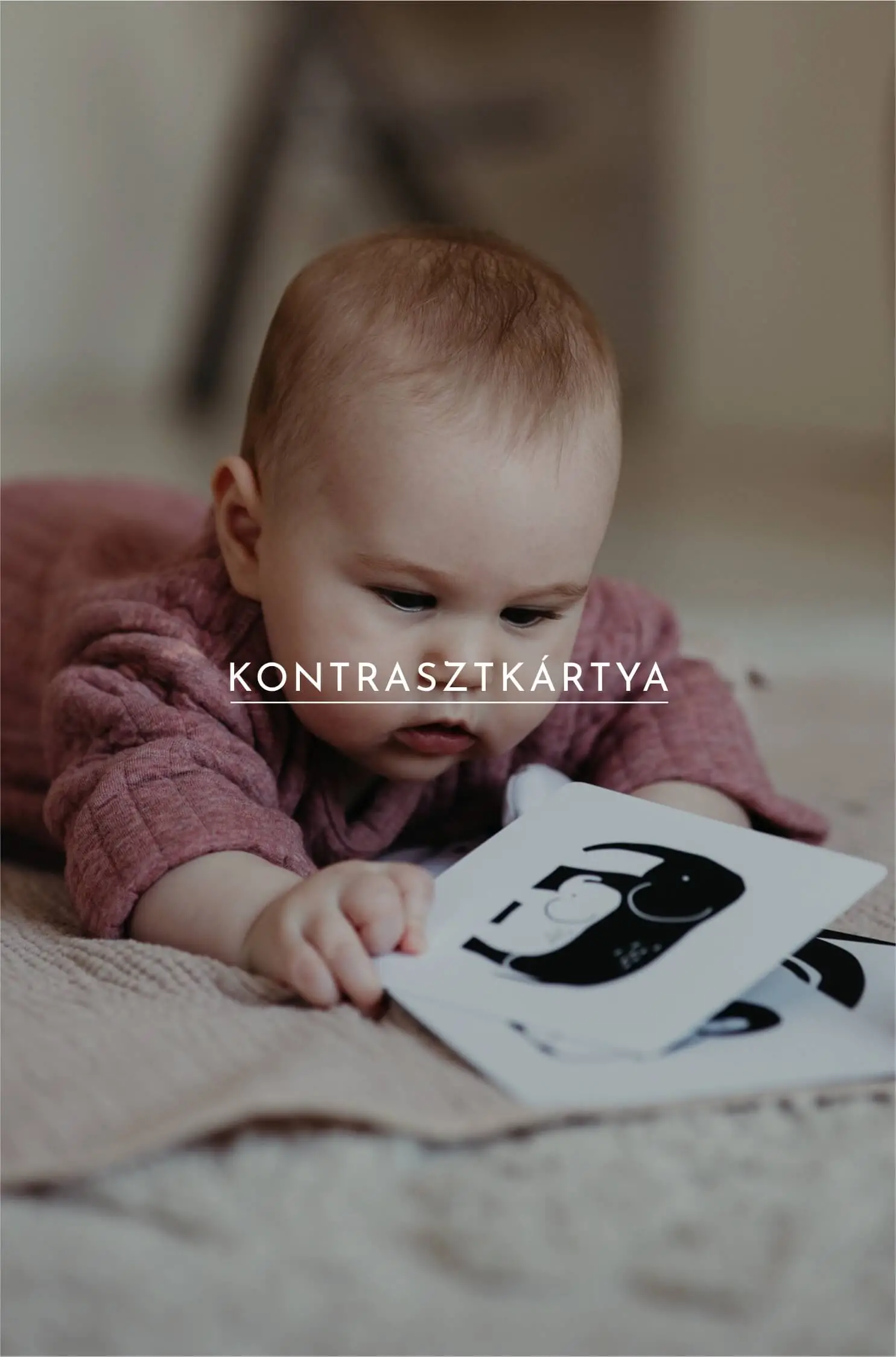 kategoria monokrom uj